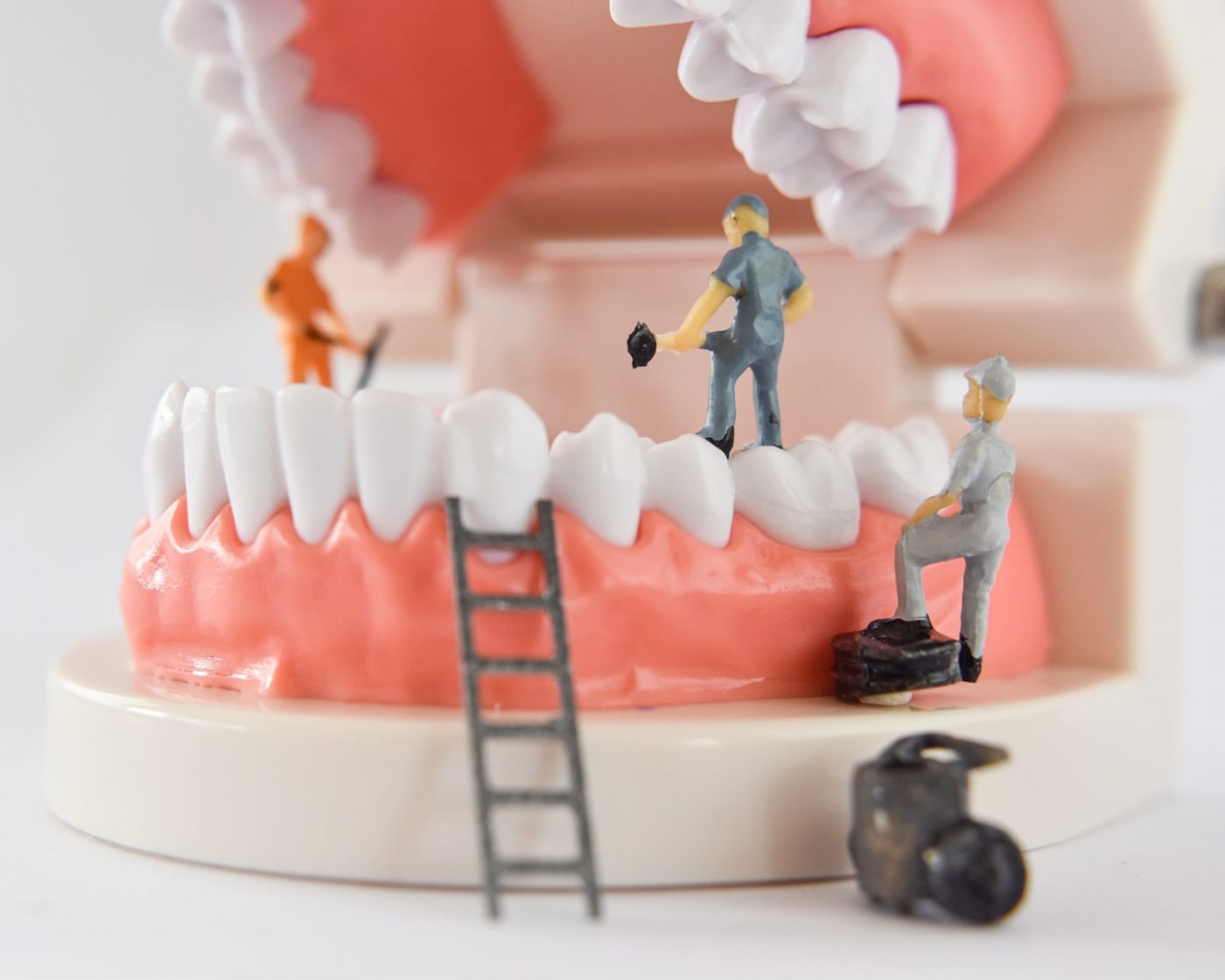 3D齒雕-蒔雨牙醫診所